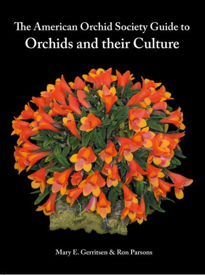 0000460_the-american-orchid-