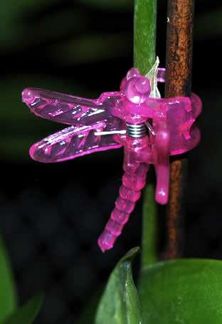 KINGLAKE 30 Pcs Dragonfly Orchid Clips,Garden Plant Support Clips Cute Flower 
