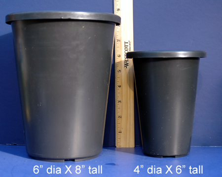 Cymbidium Pots - Plastic 