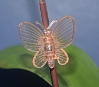 Butterfly Orchid Clips (bag of 10) 