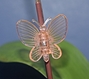 Butterfly Orchid Clips (bag of 10) 
