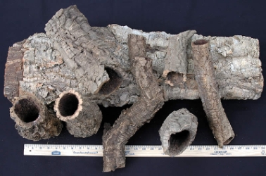 Cork Bark Tubes 