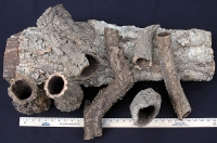 Cork Bark Tubes 