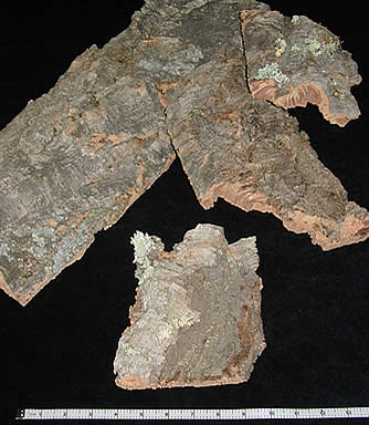 - Cork Slabs #CS1