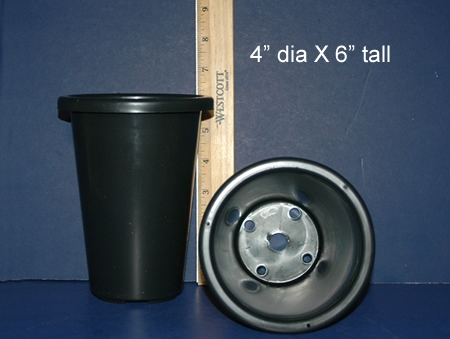 - Cymbidium Pots - Plastic #CYMPOT