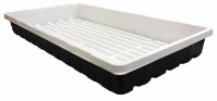 Black Propagation Tray 