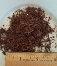 New Zealand Tree Fern Fiber 