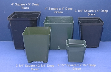 Plastic Square Pots 