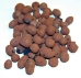 Premium Hydro Pellets - DPM8