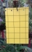 Safer Sticky Whitefly Trap - SWT