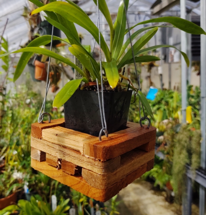Slatted Timber Raft - Wood Slat Raft