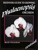 Beginners Guide To Growing Phalaenopsis Orchids 