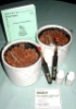 Hydroponic Transplant Kits 