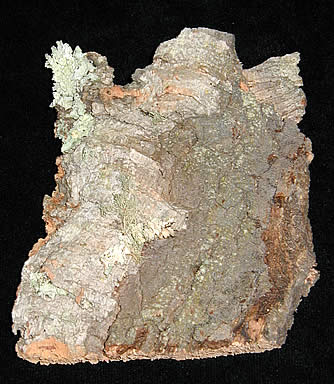 Cork Slabs 