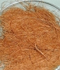Coconut Fiber 