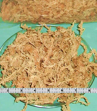 Sphagnum Moss (New Zealand Long Fiber) 