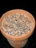 Rhizome Clips (for Clay Pots) 