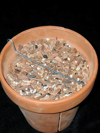 Rhizome Clips (for Clay Pots) 