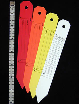 Labels - Colored Plastic (6" Printed) 
